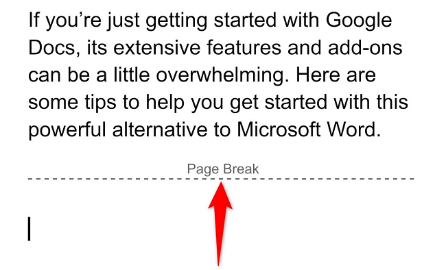 A page break line in Google Docs on mobile.