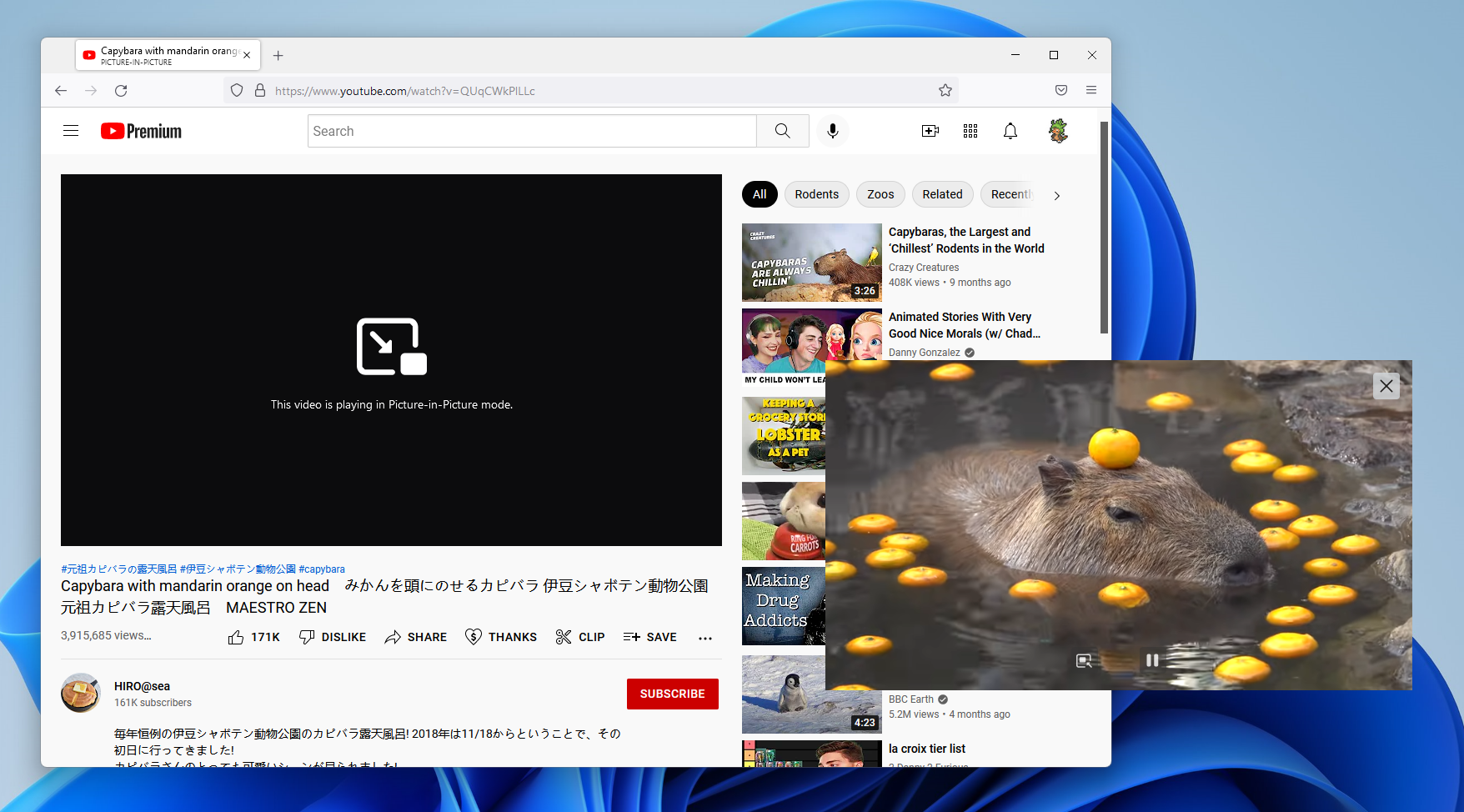 Picture-in-Picture on Firefox, running on Windows