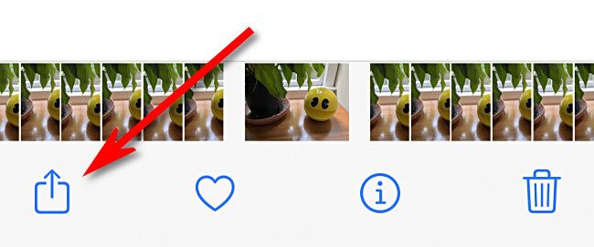 Tap the "Share" button in Photos on iPhone.