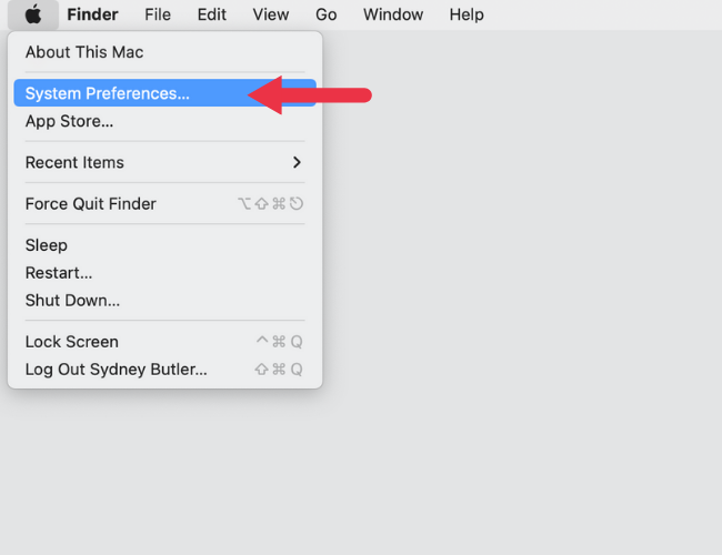 Apple Button System Preferences