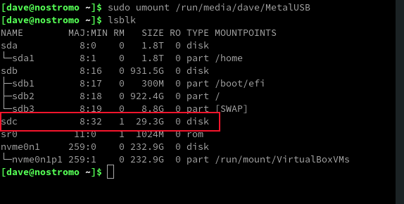The unmounted USB drive showing in the output from the lsblk command
