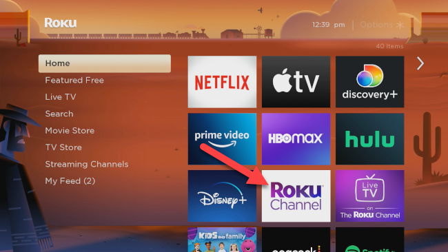 Roku Channel on the home screen.