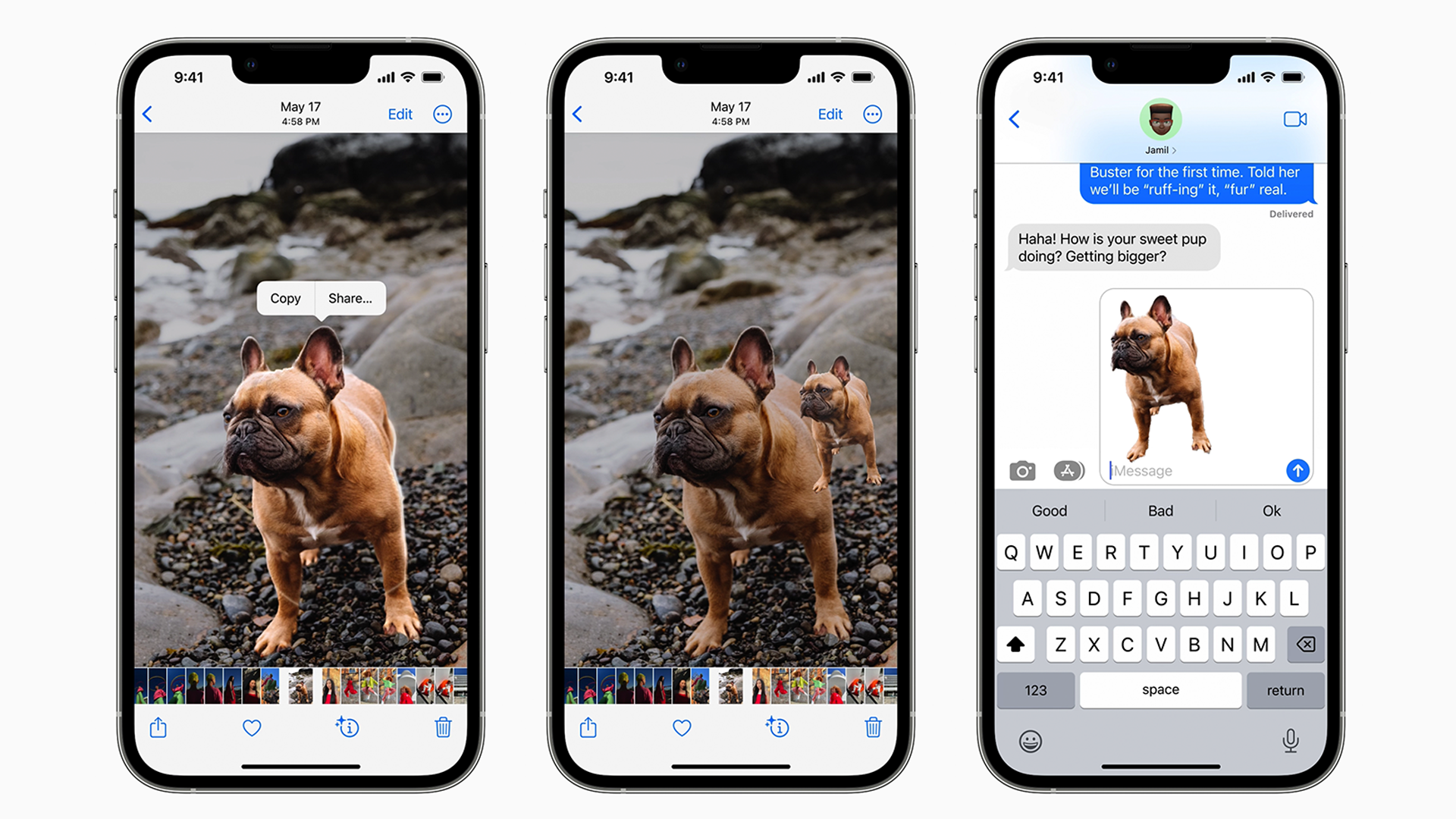 Using Visual Lookup to cut a photo of a dog from a background and share it in messages.