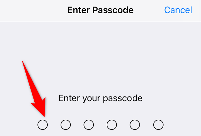 Type the iPhone passcode.