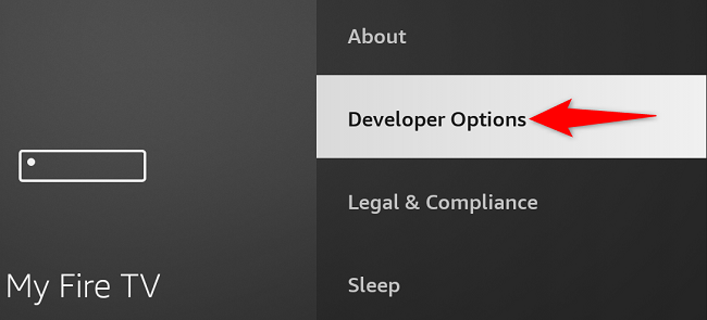 Unlocked "Developer Options" menu on Fire TV.