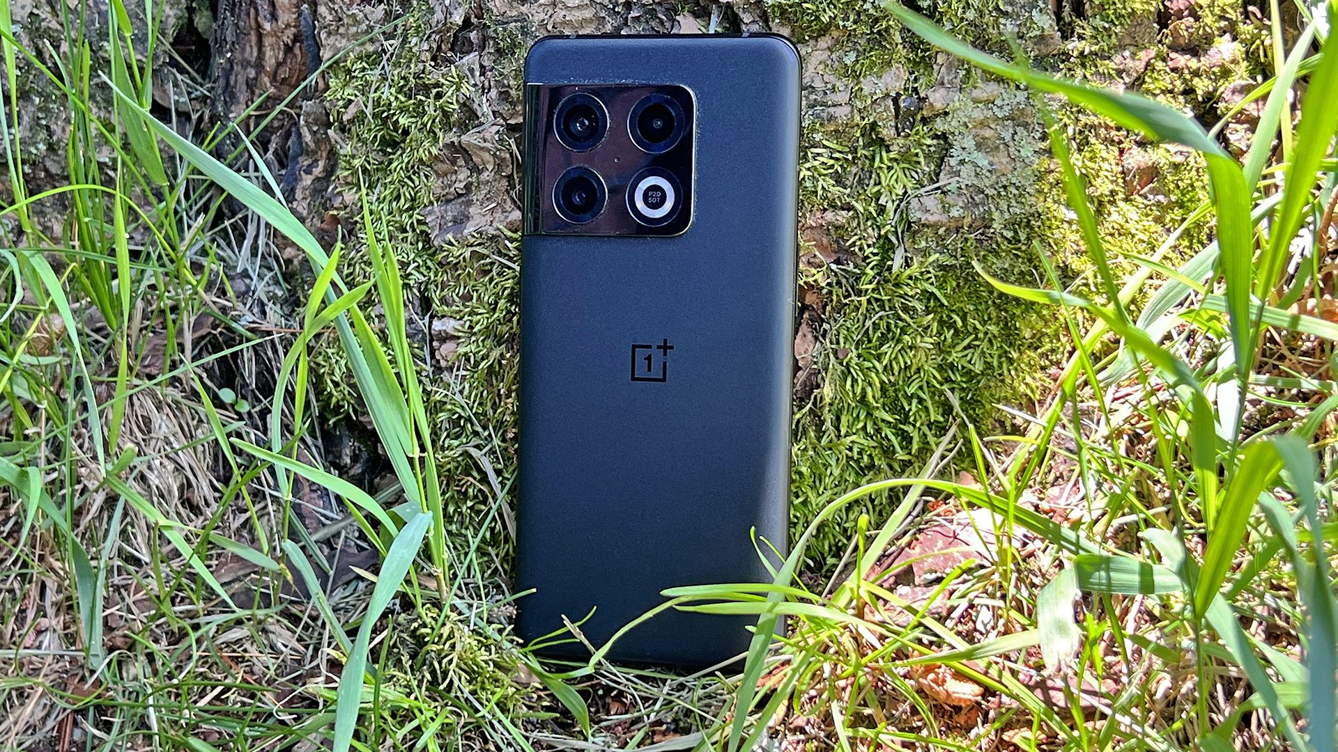 The back of the OnePlus phone showing the camera array