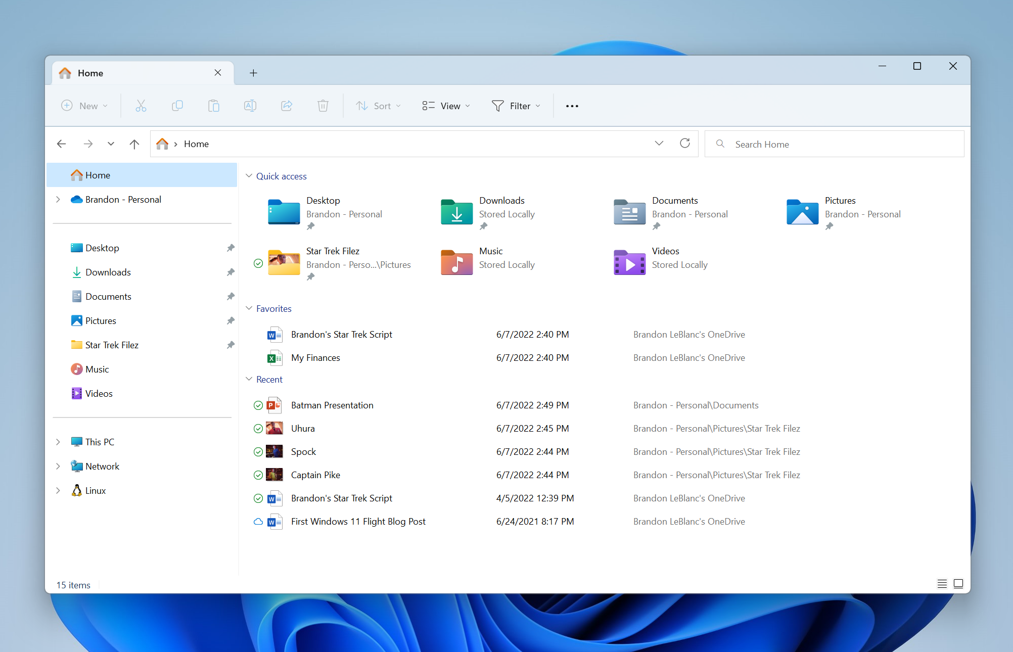 Screenshot of tabs in the Windows 11 File Explorer