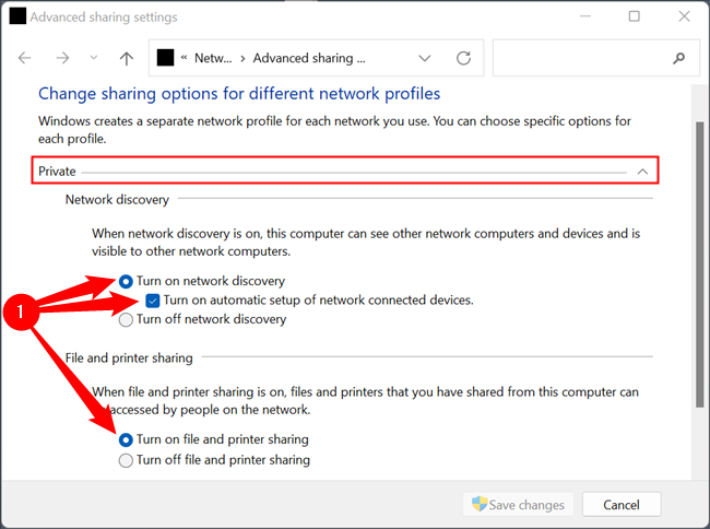 Expand the section named "Private." Then tick "Turn On Network Discovery," "Turn on Automatic Setup of Network Devices," and "Turn on File and Printer Sharing."