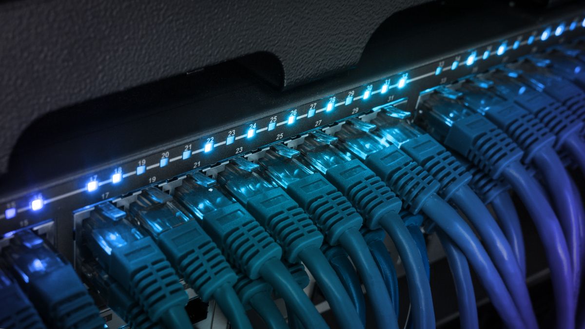 Photo of ethernet cables in a network switch