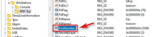 In Registry Editor, select "PortNumber."