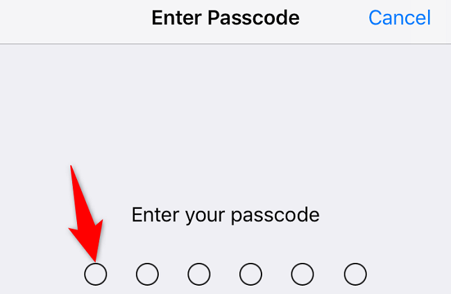 Type the current passcode.