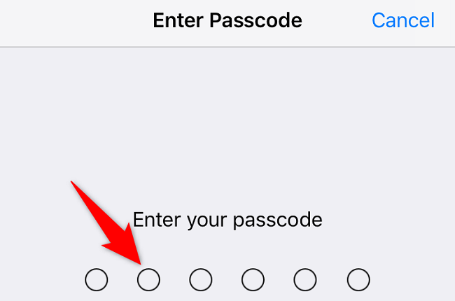 Enter the iPhone passcode.