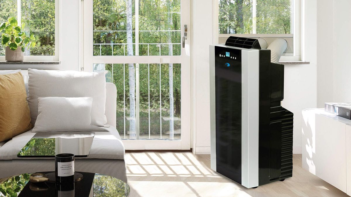 A dual-hose style portable air conditioner in a sunny living room.