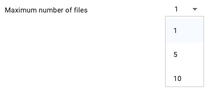 Number of file options for the upload question