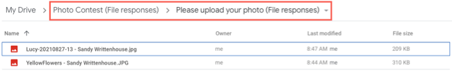 File response subfolder in Google Drive