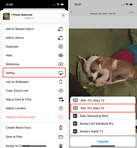AirPlay in the Share Sheet and Roku in the list