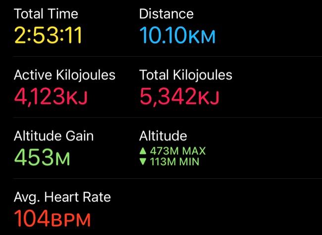 Apple Watch workout data in Fitness app