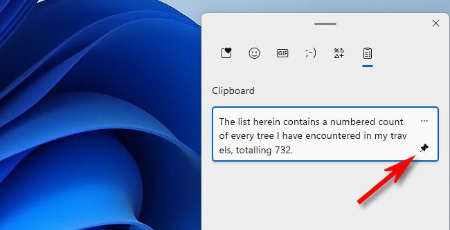 Click the push pin to pin an item to clipboard history.