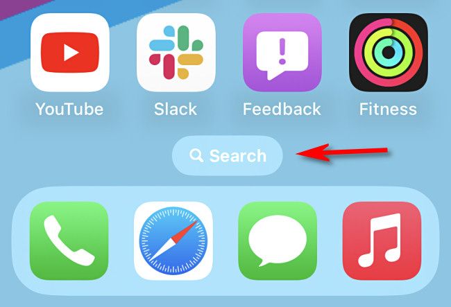 The home screen search button in iOS 16 and up.