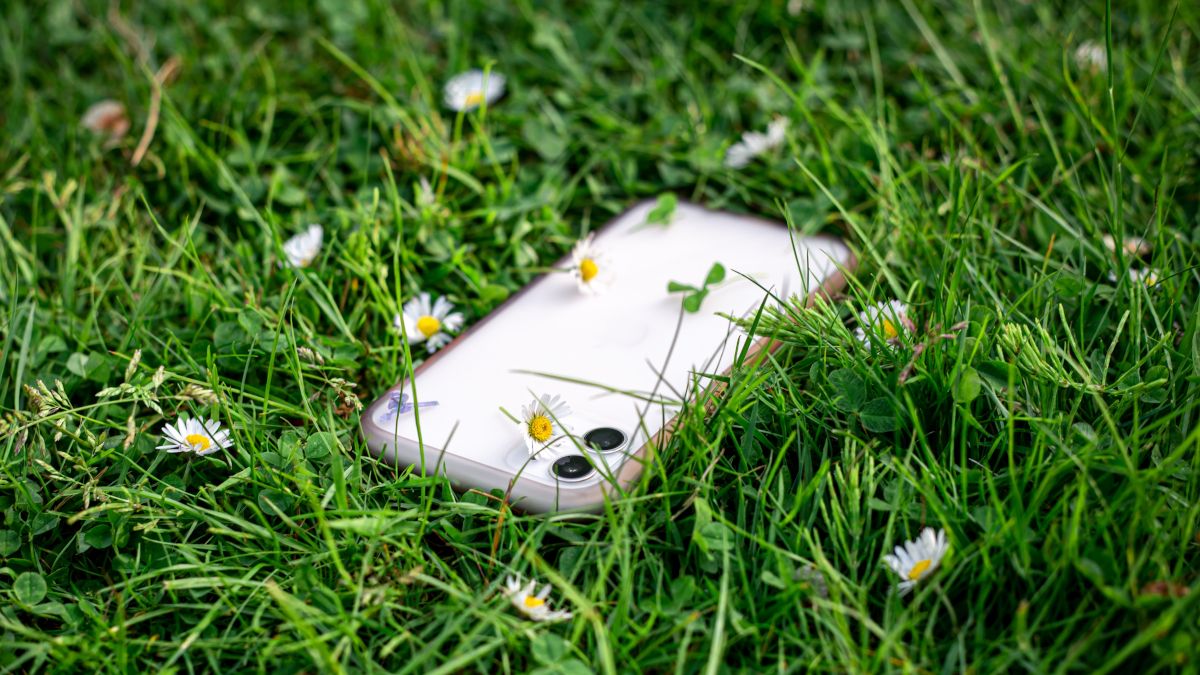 Phone in grass.