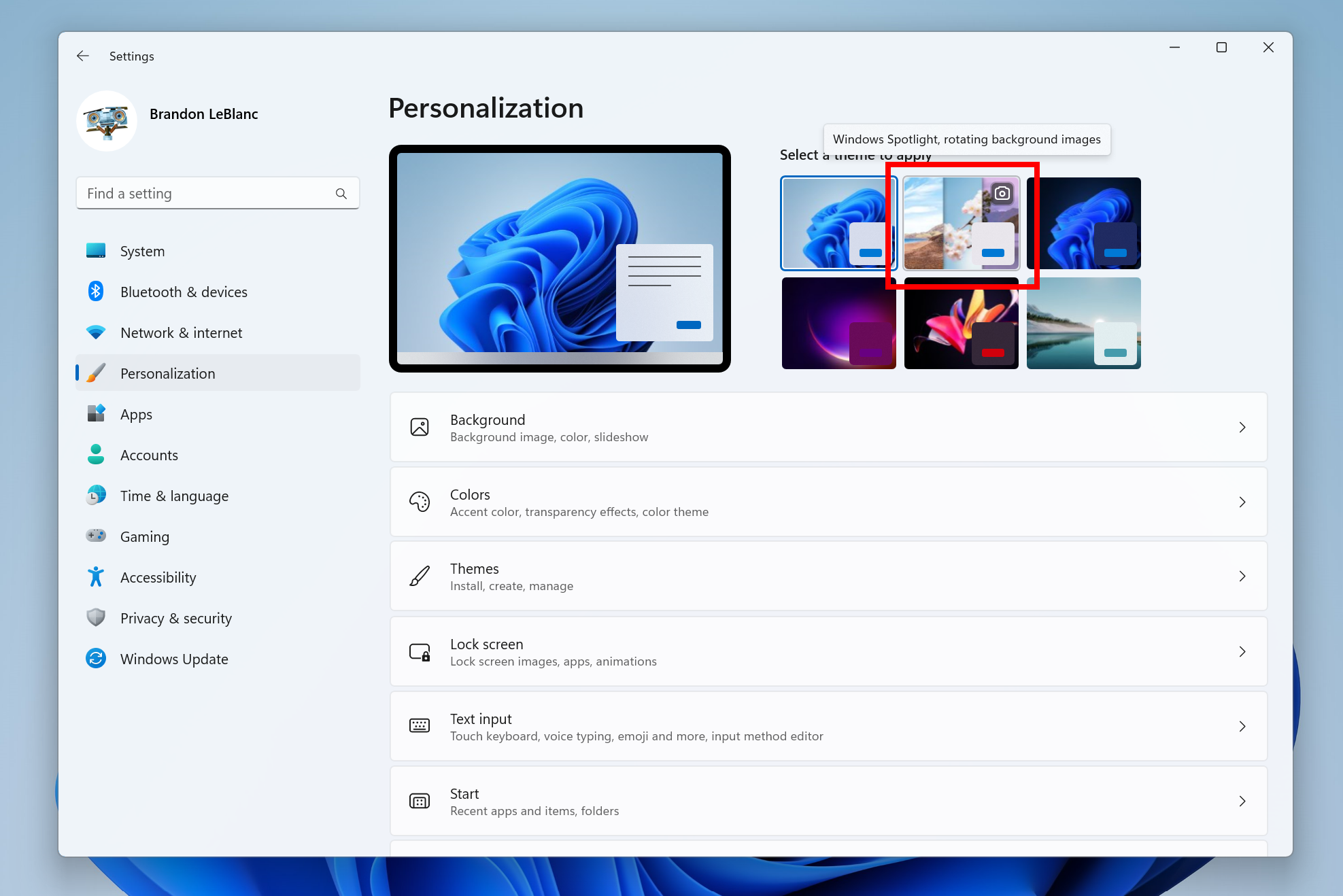 Windows 11 Spotlight theme
