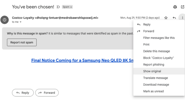 Gmail Show Original Option in Three-dot menu