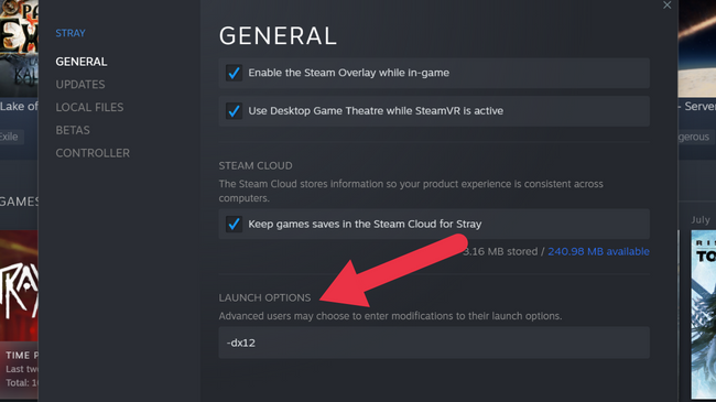 Stray Steam Launch Option