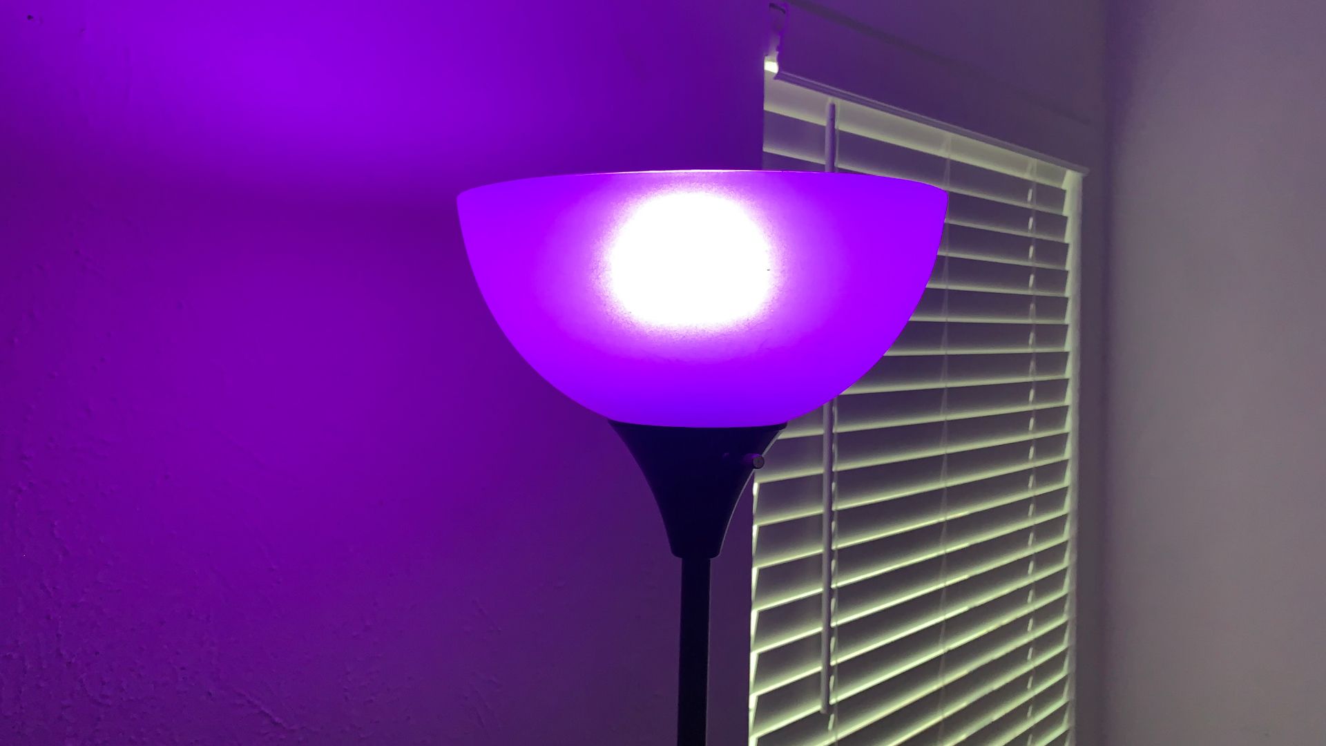 Cync Full Color reveal HD+ Smart Bulb in lamp next to window