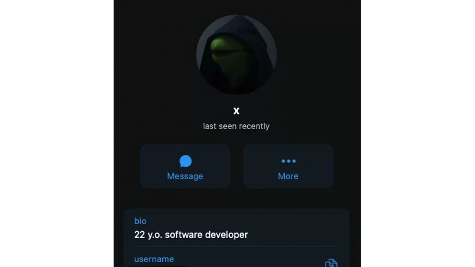 A screenshot of &quot;Subject X's&quot; Telegram account, which uses a profile picture of Kermit the Frog in a cloak.