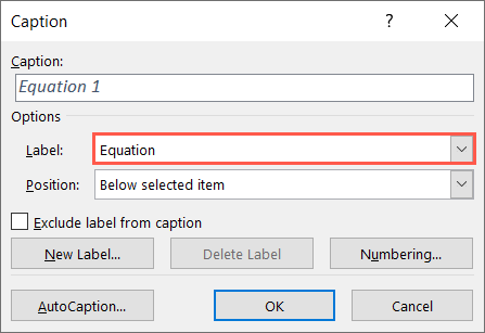 Equation label in the Caption box