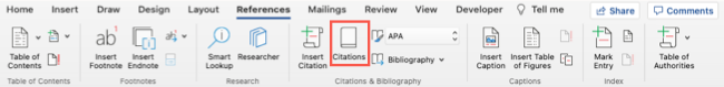 Citations on the References tab