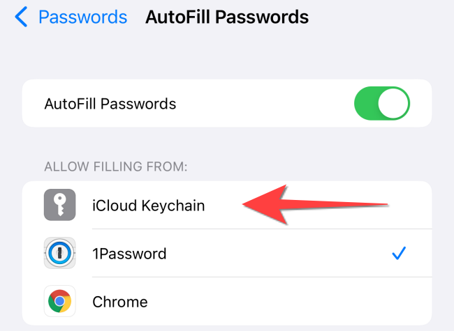 Tap on "iCloud Keychain" to enable Autofill for passwords and verification codes.