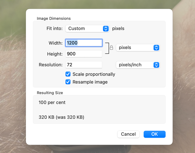 Scale images with Preview for macOS
