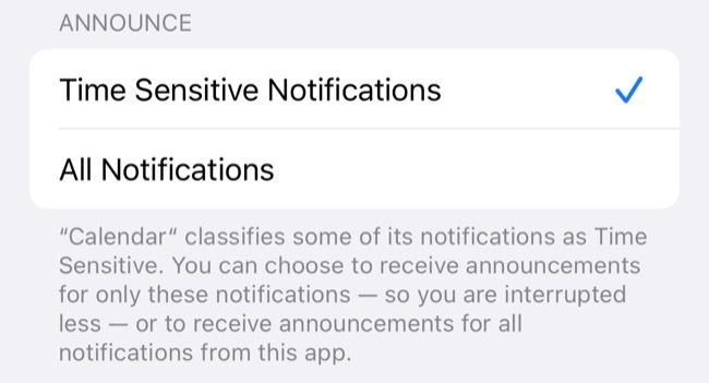 Time Sensitive Notifications toggle