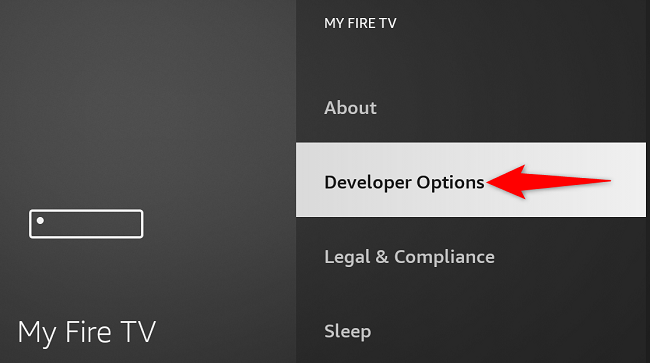 Access &ldquo;Developer Options.&quot;
