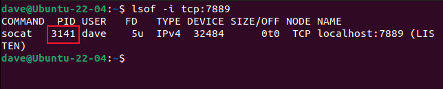 Using lsof to show the details of a process using a specific port and protocol
