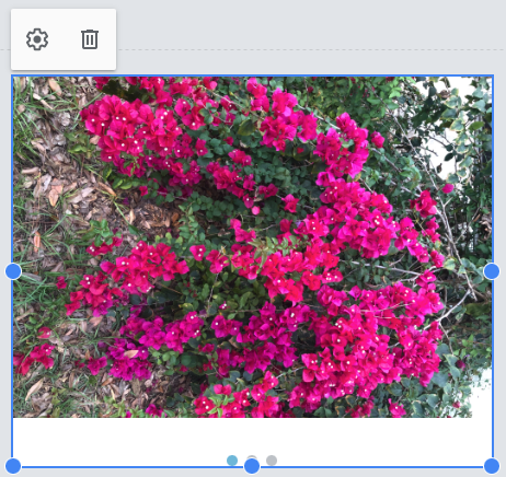 Image Carousel toolbar