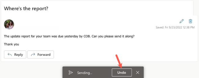 Undo message after sending the email