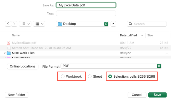 Workbook and Selection options for a PDF from Excel on Mac
