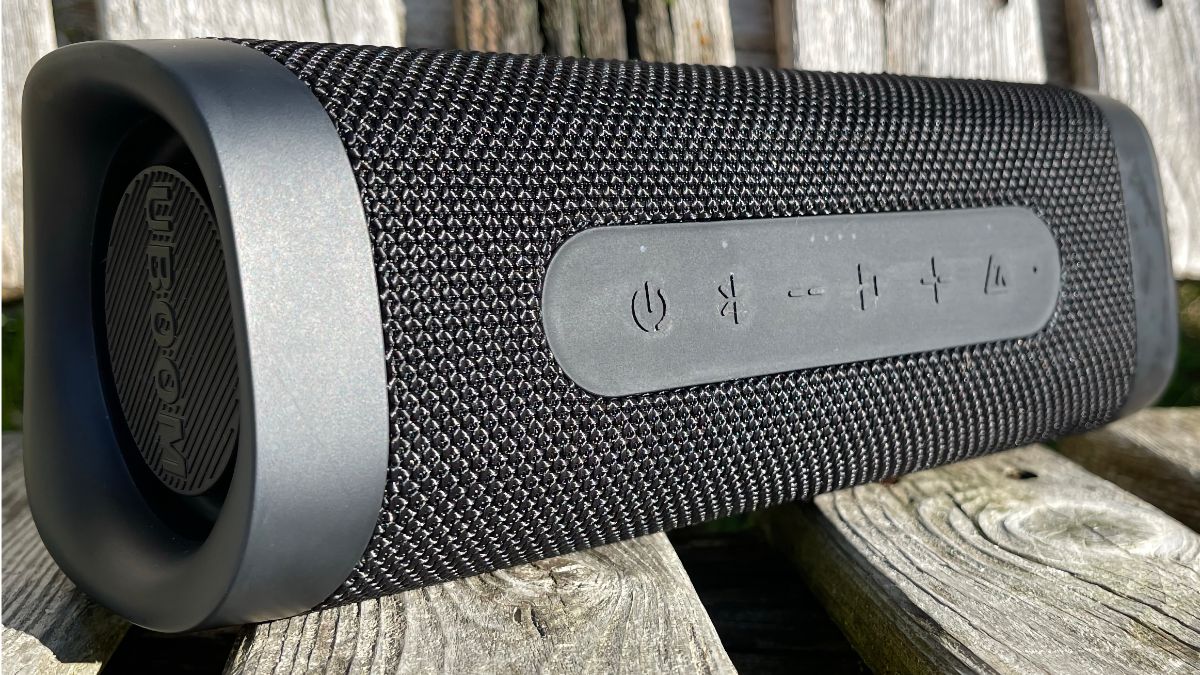 Close-up of side buttons on Boom-L speaker