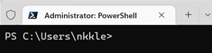 PowerShell open as Administrator in Terminal.