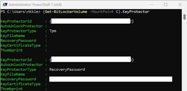 The output from running a command to retrieve your recovery key.