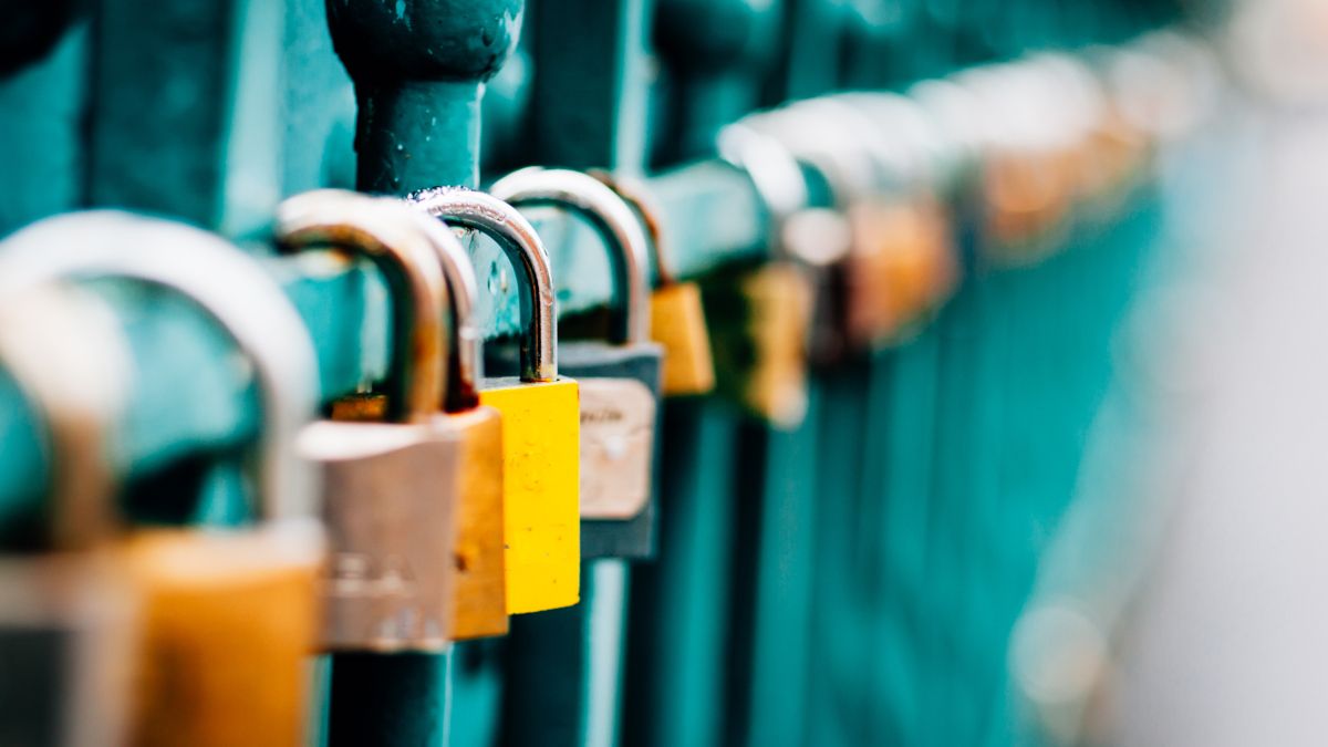 Several padlocks attached to a green fence.