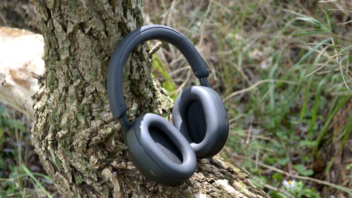 Sony WH-1000XM5 ear cups