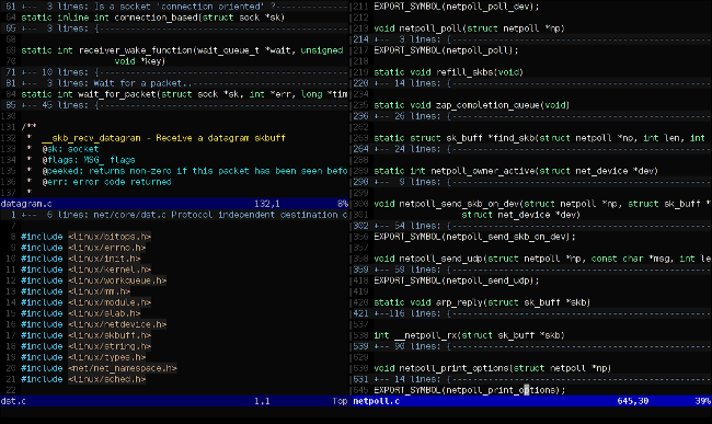 Vim&rsquo;s main interface with extra modules