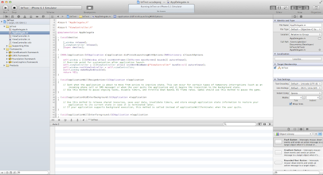 Xcode main interface