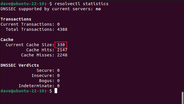 using the resolvectl command to view DNS caching statistics