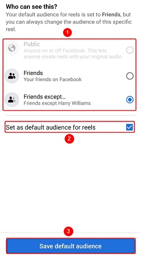 Select the Reels audience.
