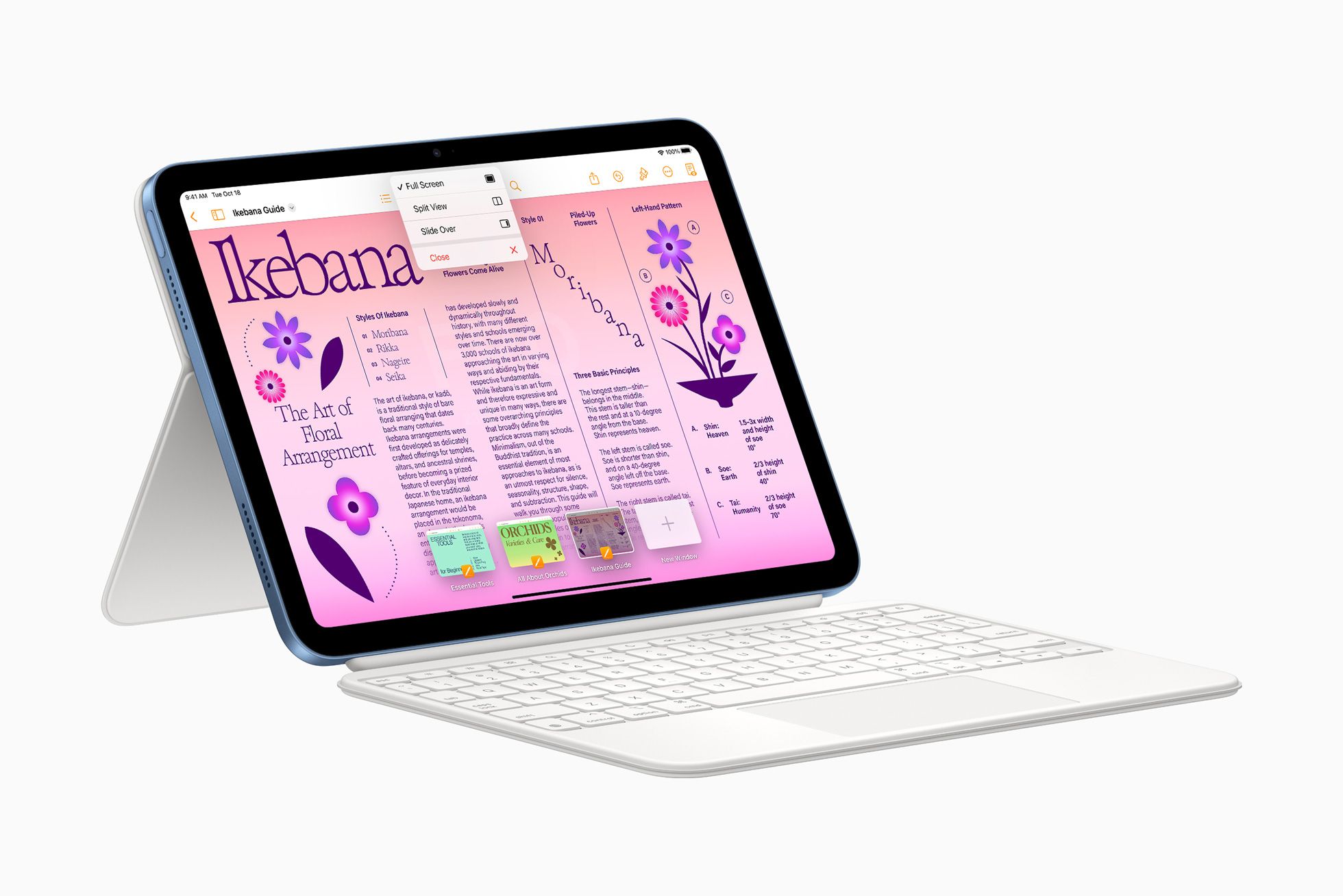 Apple iPad with Magic Keyboard Folio