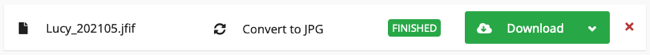 Download button on CloudConvert